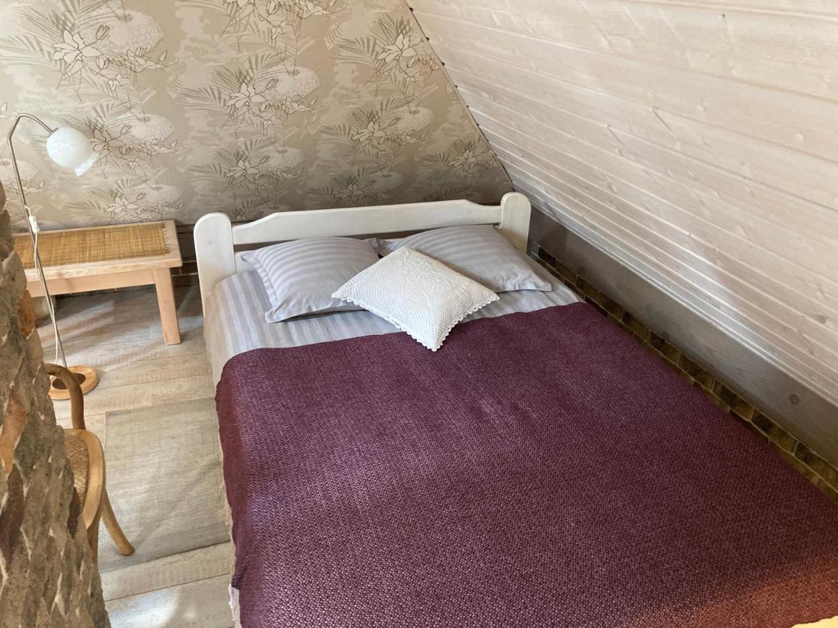 Estere سيسيس المظهر الخارجي الصورة