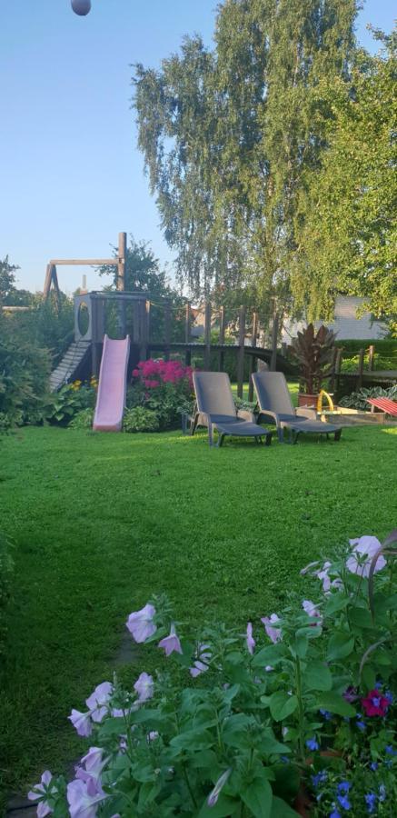 Estere سيسيس المظهر الخارجي الصورة
